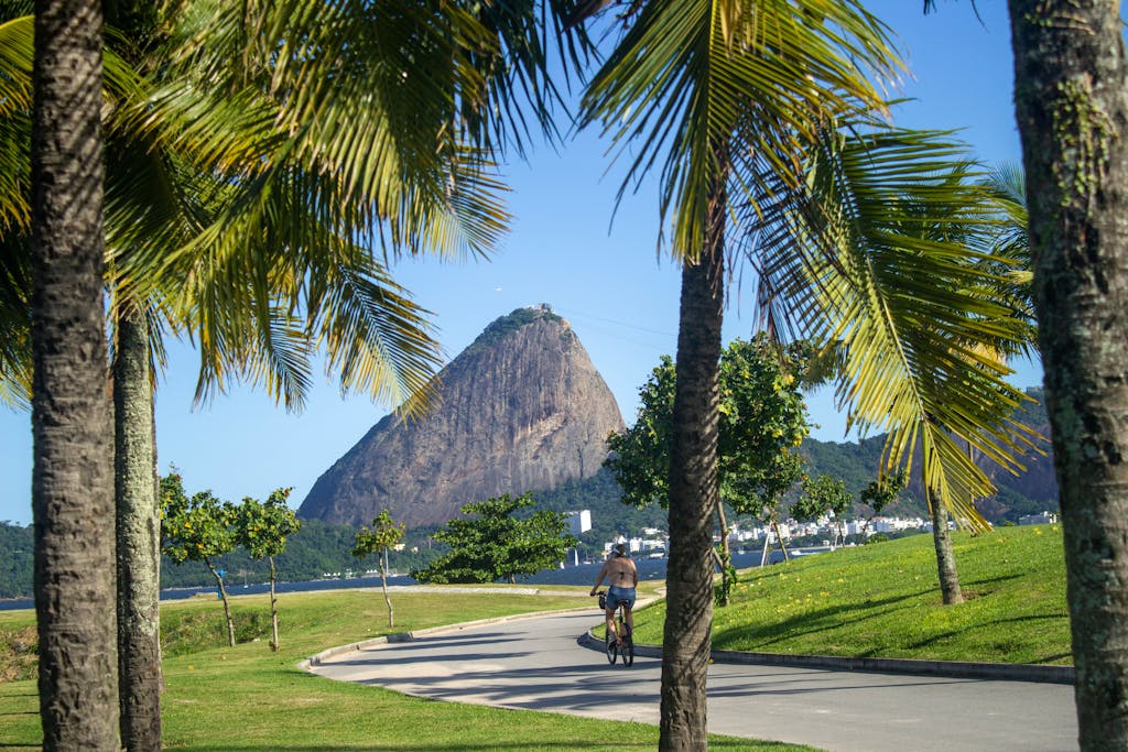 A cyclist rides through a park with a view of the iconic Sugarloaf Mountain in Rio de Janeiro.
